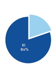 KI-Tortendiagramm_1_Entwurf