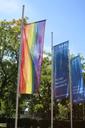 The picture shows three flags. One rainbow flag, two blue flags of Heilbronn University. 
