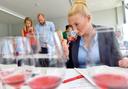 Studentin, die am Wein riecht mit Glas in der Hand