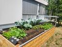 Seitenansicht des Farmbots