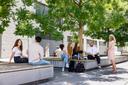 Studierende am Campus
