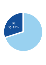 KI-Tortendiagramm_3_Entwurf
