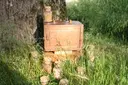 Gläser mit Bodenproben stehen im Gras um den Pokal der Projektwoche des Studiengangs Umwelt- und Prozessingenieurwesen.