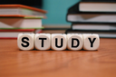 Study Wahl
