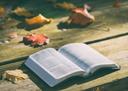 Geöffnete Bibel