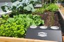 Farmbot