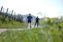 2 Inline-Skater in den Weinbergen.
