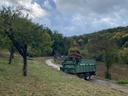 Landschaftspflege-Einsatz von HHN-Master-Studierenden TNM am 10.10.26