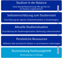 Die Grafik zeigt den Aufbau des FeelGood-Fragebogens mit vier Reflexionsbereichen: Studienbalance, Selbstwirksamkeit, Studiensituation und persönliche Ressourcen. Nach Abschluss kann optional Feedback zum Tool gegeben werden. 