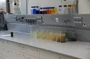 Gläser mit Wasserproben stehen im Analytiklabor des Studiengangs Umwelt- und Prozessingenieurwesen.